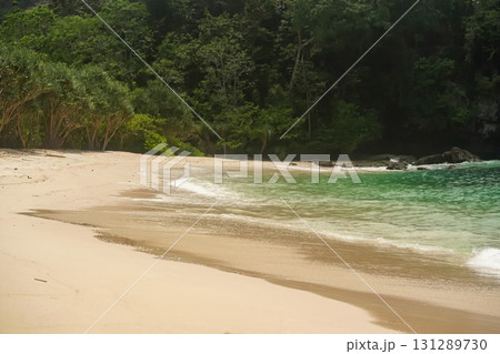 Pristine hidden cove featuring gentle waves, untouched sand, and dense tropical foliage. Pristine hidden cove featuring gentle waves, untouched sand, and dense tropical foliage. 131289730