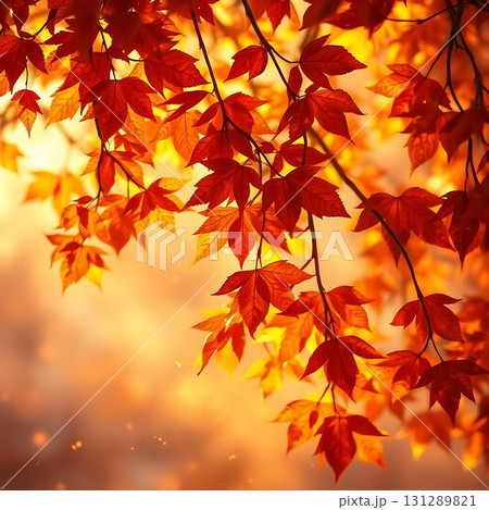 紅葉の風景 131289821