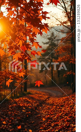 紅葉の風景 131289826