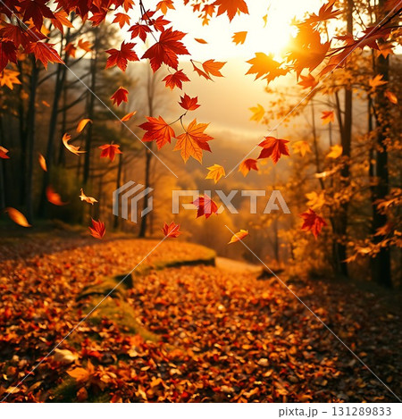 紅葉の風景 紅葉の風景 131289833