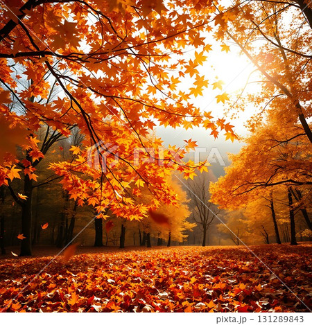 紅葉の風景 131289843
