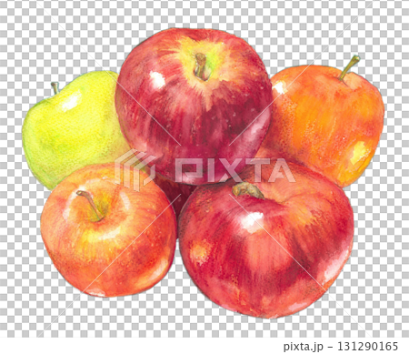 彩色蘋果的水彩插圖 彩色蘋果的水彩插圖 131290165