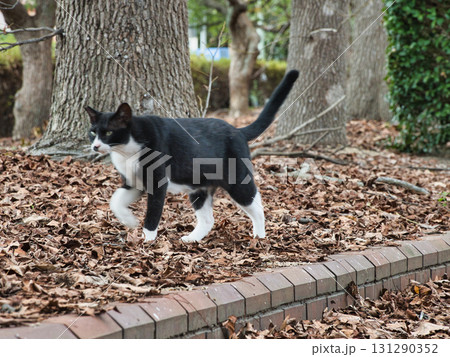 岡山児島湾の風景 131290352