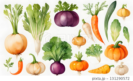野菜のイラスト 野菜のイラスト 131290572