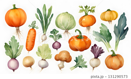 野菜のイラスト 131290573