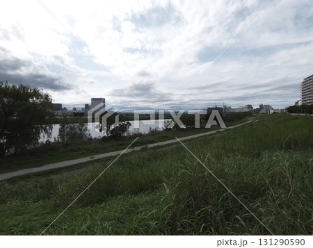 曇り空の河川敷:雑草の土手から多摩川と橋を望む風景 曇り空の河川敷:雑草の土手から多摩川と橋を望む風景 131290590