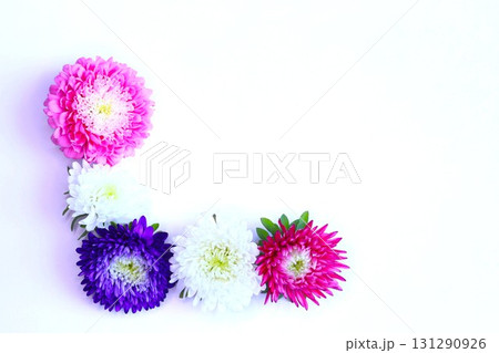 カラフルなアスターのフラワーフレーム カラフルなアスターのフラワーフレーム 131290926