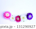 カラフルなアスターのフラワーフレーム 131290927