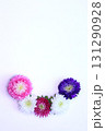 カラフルなアスターのフラワーフレーム 131290928