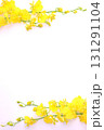 黄色いオンジウムのフラワーフレーム 131291104