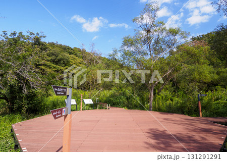 小網代の森の秋 小網代の森の秋 131291291