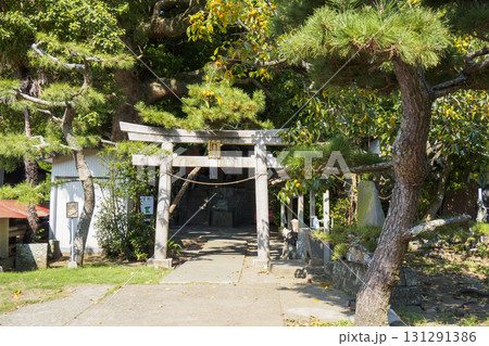 小網代の森の白髭神社 131291386