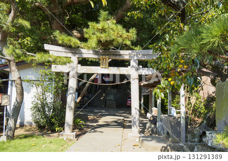 小網代の森の白髭神社 小網代の森の白髭神社 131291389