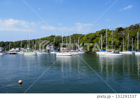 静かな港 131291537