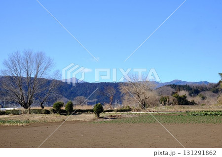 春の作付けを待つ畑　【相模原市津久井　2月】 131291862