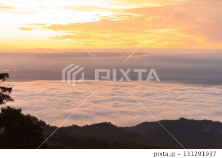 Morning Sea of Mist over the Mountains 131291937