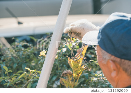 Japanese Gardener 131292099