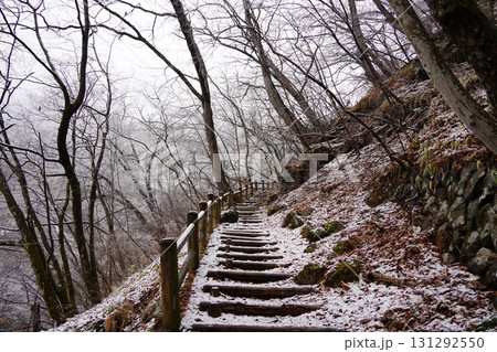 栃木県　裏見ノ滝 131292550