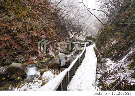 栃木県　裏見ノ滝 131292555