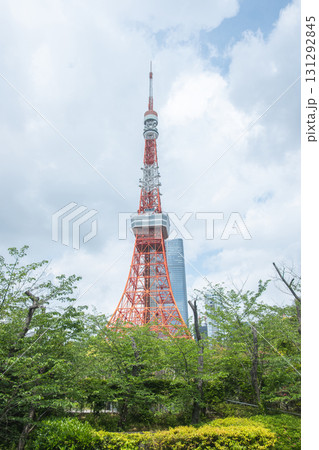 Tokyo Tower standing tall above green trees in urban cityscape at Tokyo, Japan 131292845