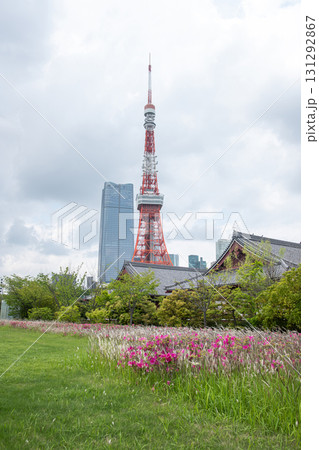 Tokyo Tower standing tall in city park with flowers and modern buildings at Tokyo, Japan Tokyo Tower standing tall in city park with flowers and modern buildings at Tokyo, Japan 131292867