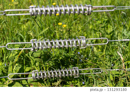 Metal fence tension springs in green meadow 131293180