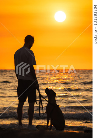 Man with a German Boxer dog sitting on the beach near the sea, watching the sunset together, enjoying a calm evening by the water. 131293204