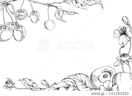 Sweet sour line cherry with plant leaves, white flowers, hand drawn vector ink, cerise berry clusters on stems. Horizontal corner frame illustration. Restaurant, cafe menu, wedding, farmers market 131293283