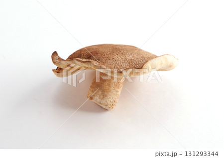 新鮮な椎茸 131293344