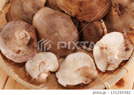新鮮な椎茸 131293382