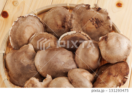 新鮮な椎茸 131293475