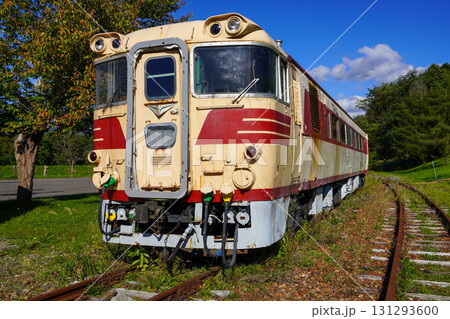 クロフォード公園のキハ82系気動車（2025年秋） 131293600