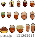 いろいろなどんぐりセット いろいろなどんぐりセット 131293915