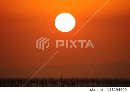 大牟田市　有明海　海苔畑、 131294466