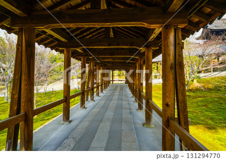 冬の東福寺 通天橋 冬の東福寺 通天橋 131294770