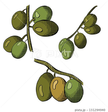 Olive drop. Olive berry branch isolated set. Vector graphic line ink colored illustration. realistic greek olive food background for banners, print for fabric, labels, t-shirt printing. Olive drop. Olive berry branch isolated set. Vector graphic line ink colored illustration. realistic greek olive food background for banners, print for fabric, labels, t-shirt printing. 131294940