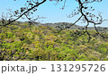 鎌倉の山並み、山の風景、青空と山の風景 131295726