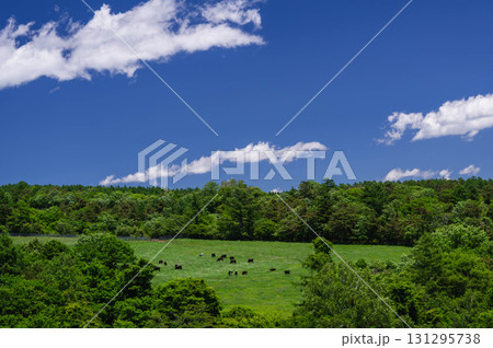 まきば公園からの牧場 131295738