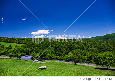 山梨県立まきば公園 山梨県立まきば公園 131295748