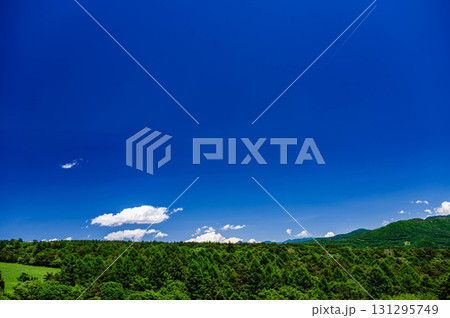 夏の爽やかな自然風景 北杜市 夏の爽やかな自然風景 北杜市 131295749