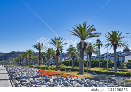 【横須賀市】馬堀海岸遊歩道 131296278