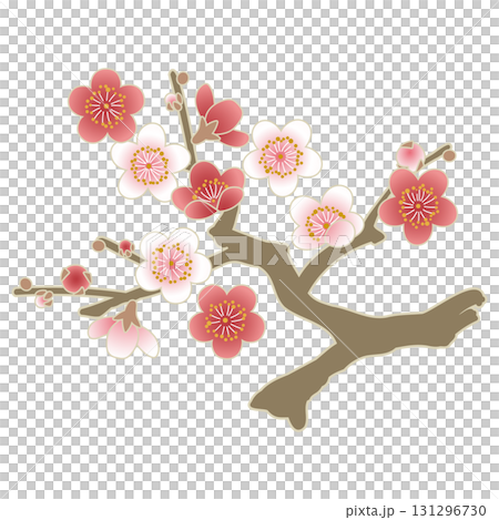 紅白の梅の花が咲く枝の和風ベクター素材イラスト｜梅, 花, 正月 131296730