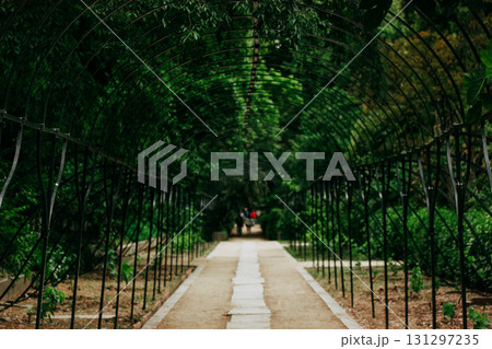A garden path leads under an arched tunnel, inviting exploration. A beautiful garden path is framed by an arched structure covered with lush greenery. People walk towards the end of the pathway. 131297235