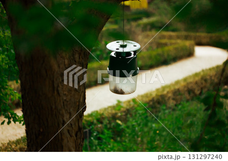 Bug trap hanging from a tree in a peaceful garden setting. A bug trap hangs from a tree branch against a blurred background of a garden path and greenery. Bug trap hanging from a tree in a peaceful garden setting. A bug trap hangs from a tree branch against a blurred background of a garden path and greenery. 131297240