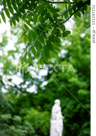 Green leaves are in focus against a blurred statue and greenery in a park. A statue is partially visible in the background, with vibrant green leaves in focus. The image captures the beauty of nature. Green leaves are in focus against a blurred statue and greenery in a park. A statue is partially visible in the background, with vibrant green leaves in focus. The image captures the beauty of nature. 131297252