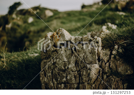 A weathered rock formation with green grass and a blurred background. A detailed view of a rugged rock face is framed by lush green grass, with a soft, out-of-focus backdrop of more greenery and sky. A weathered rock formation with green grass and a blurred background. A detailed view of a rugged rock face is framed by lush green grass, with a soft, out-of-focus backdrop of more greenery and sky. 131297253