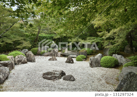 青蓮院飛地　将軍塚青龍殿　夏の庭園(京都市山科区) 131297324