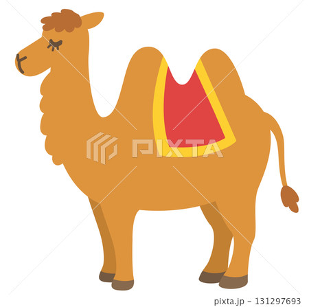ラクダ フタコブラクダ 砂丘 ラクダ フタコブラクダ 砂丘 131297693