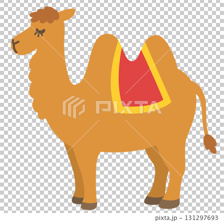 ラクダ フタコブラクダ 砂丘 ラクダ フタコブラクダ 砂丘 131297693