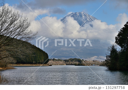 静岡県富士宮市　田貫湖畔より望む冬の富士山 131297758